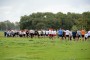 Thumbs/tn_Baggerloop 2015 178.jpg